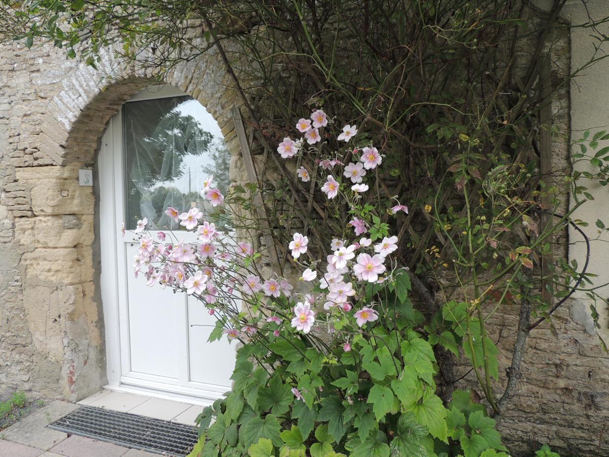 Chambres D'Hotes Les Pieris グランカン・メジー エクステリア 写真
